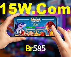 Experiência VIP Br585